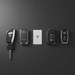 BMW, Lexus, Tesla, and Honda keys - Treviso, West Hills, and Carlton Hills Santee neighborhood mix