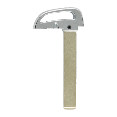 2021 Hyundai Ioniq Mechanical Key EK-EMG21